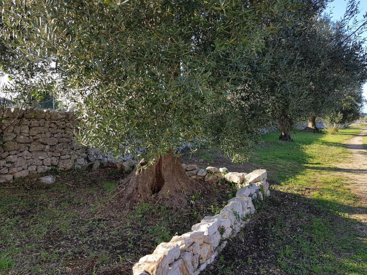 בית הארחה קסטלאנה גרוטה 	Masseria Fra Diavolo מראה חיצוני תמונה