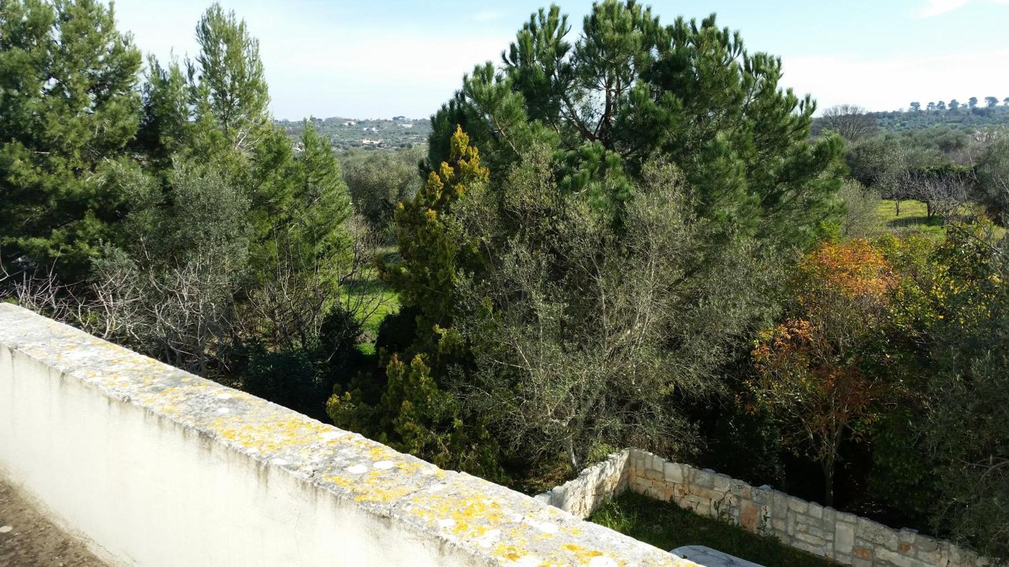 בית הארחה קסטלאנה גרוטה 	Masseria Fra Diavolo מראה חיצוני תמונה